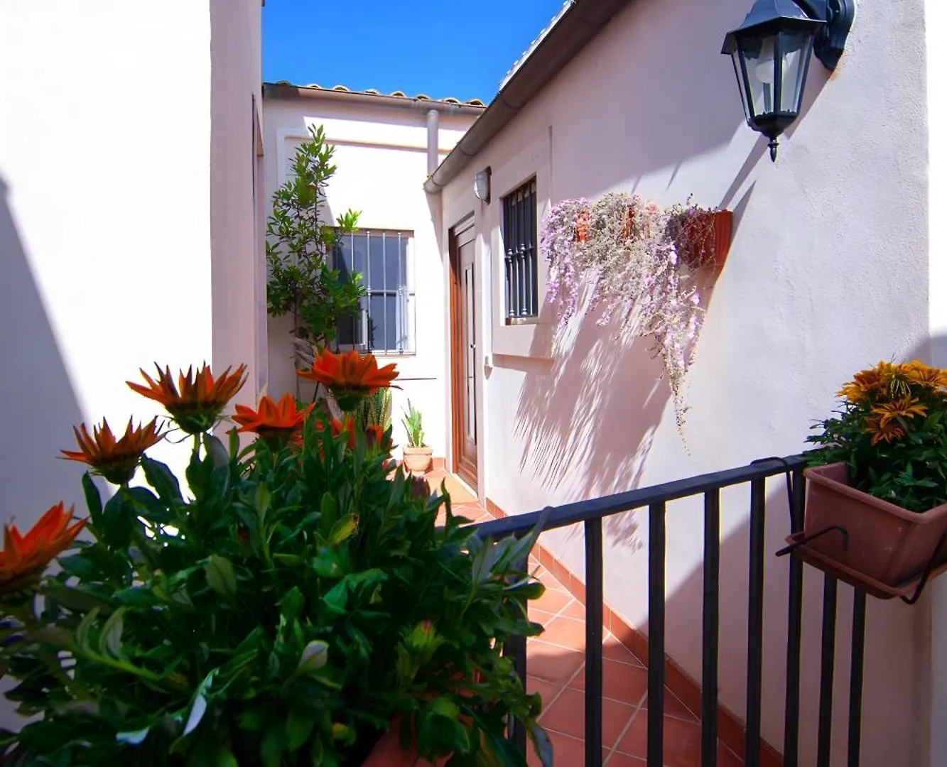 A Naca Suite With Private Terrace Ortigia Syracuse Apartment
